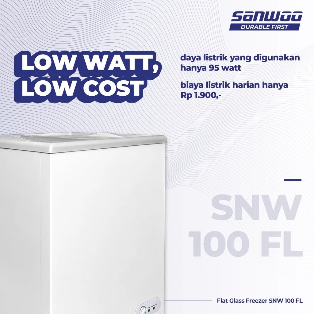 SNW 100FL 